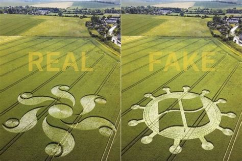 why are crop circles fake